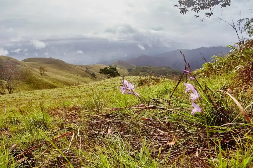 Plans are in place to turn Australia’s oldest open-cut coal mine into a major renewable's precinct.